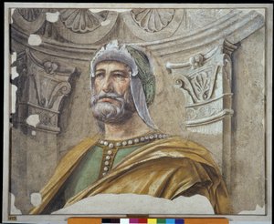 Man van Wapens met Baard en Helm