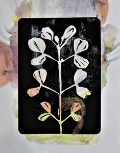 Pastelstudie van planten