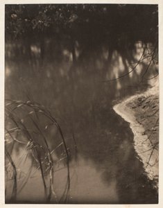 Studie van bomen weerspiegeld in water, ca. 1925-34 door Doris Ulmann