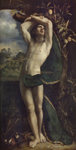 Sint Sebastiaan door Dosso Dossi