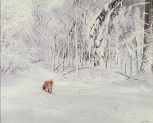 Vos in diepe sneeuw