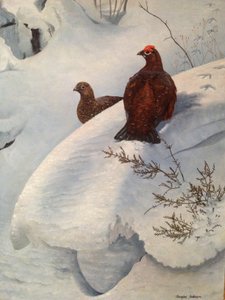 Korhoen in de sneeuw, ca.1985 (olieverf op doek)