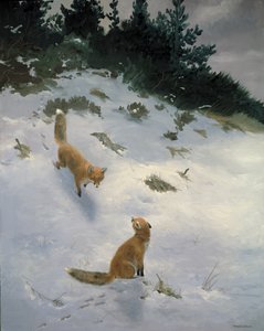Liefde op het eerste gezicht, Vossen in de sneeuw