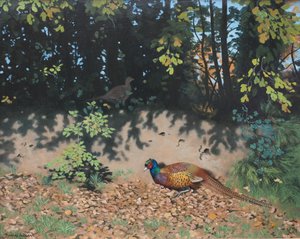 Fazant in de herfstzon, 2000 (olieverf op board)
