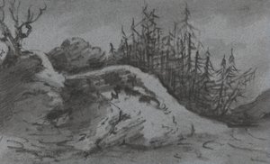 Compositie van rotsen en pijnbomen