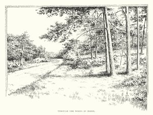 Door de bossen bij Esher