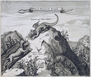 Een berg in de provincie Jiangxi met rotsen bekend als de Draak en de Tijger, uit China Illustrated door Athanasius Kircher, 1667 door Dutch School