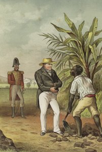 Napoleon op Sint-Helena