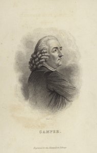Petrus Camper door Dutch School
