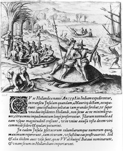 De Nederlanders op Mauritius in 1598, gegraveerd door de Bry door Dutch School