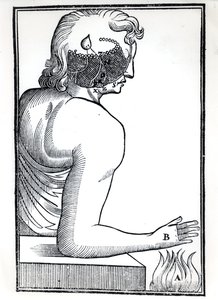 De waarneming van de zintuigen, uit De Homine Figuris door René Descartes (1596-1650) gepubliceerd in Amsterdam, 1677 door Dutch School