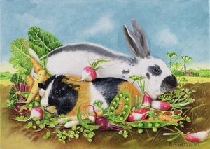 Konijn en Cavia