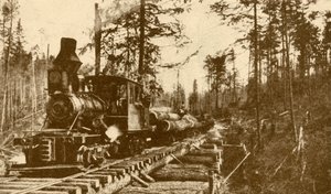 Een houtkapspoorweg, Brits Columbia, 1930 door ENA