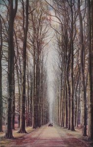 Nederland, c1930s