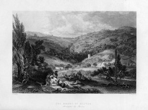 De Olijfberg, Israël. door E Benjamin