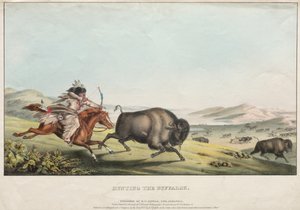 De buffeljacht
