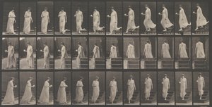 Dierlocomotie. Een elektro-fotografisch onderzoek... van dierbewegingen door Eadweard Muybridge