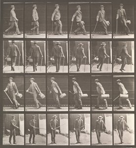 Dierlocomotie. Een elektro-fotografisch onderzoek... van dierbewegingen. Begonnen..., 1880s door Eadweard Muybridge
