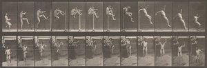 Dierlijke Locomotie. Een Elektro-Fotografisch Onderzoek van Opeenvolgende Fasen van Dierlijke..., 1880s. door Eadweard Muybridge