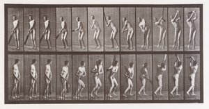 Dierlocomotie. Een elektro-fotografisch onderzoek naar opeenvolgende fasen van dier..., 1880s door Eadweard Muybridge