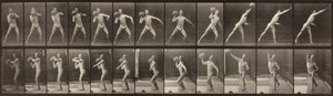 Dierenbeweging, Plaat 319, 1887 door Eadweard Muybridge