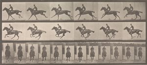 Paard en ruiter galopperen door Eadweard Muybridge