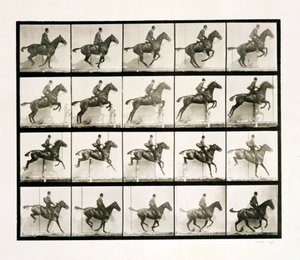 Man en paard springen over een hek, 1887 door Eadweard Muybridge