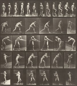 Plaat Nummer 521. A: Wandelen. B: Een stap omhoog. C: De schijf werpen. D: Een schop gebruiken..., 1887 door Eadweard Muybridge