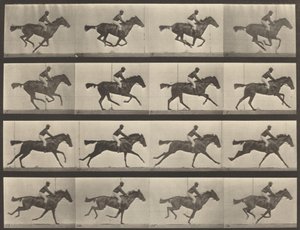 Plaat Nummer 626. Gallop, volbloed bruine merrie, Annie G., 1887 door Eadweard Muybridge