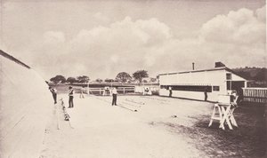 Het Paard in Beweging zoals Getoond door Ogenblikkelijke Fotografie. Met een Studie over Dieren..., 1881-1882 door Eadweard Muybridge
