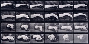 Een bewegingsstudie van een hand, ca. 1872-1885