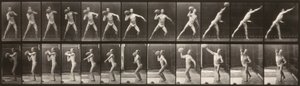 Voortbeweging van dieren (plaat 319) (Man die een bal gooit) door Eadweard Muybridge