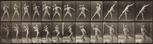 Dierenbeweging, Plaat 319 door Eadweard Muybridge