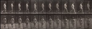 Animal Locomotion, Plaat 467