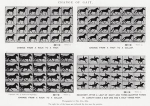 Verandering van Gang door Eadweard Muybridge