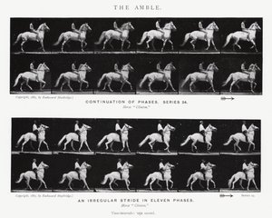 De Draf door Eadweard Muybridge