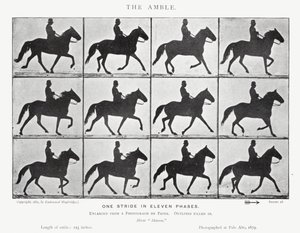 Eadweard Muybridge: De draf door Eadweard Muybridge