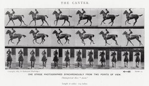 Eadweard Muybridge: De galop door Eadweard Muybridge