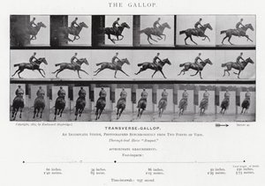Eadweard Muybridge: De galop (zwart-wit foto)