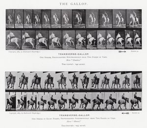 De Galop