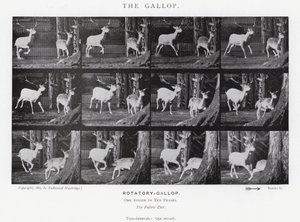 De Galop