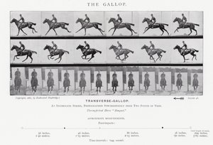 Eadweard Muybridge: De Galop
