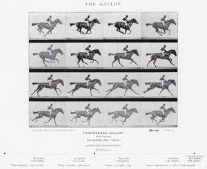 Eadweard Muybridge: De Galop door Eadweard Muybridge
