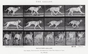 Eadweard Muybridge: De galop door Eadweard Muybridge