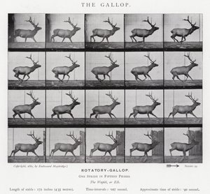 Eadweard Muybridge: De galop
