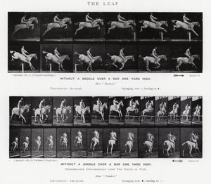 Eadweard Muybridge: De sprong (zwart-wit foto) door Eadweard Muybridge