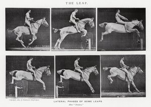 De Sprong door Eadweard Muybridge