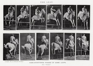 Eadweard Muybridge: De sprong (zw/w foto) door Eadweard Muybridge