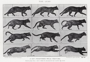 Eadweard Muybridge: De Sprong door Eadweard Muybridge