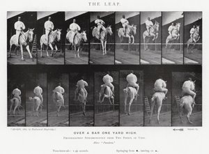 Eadweard Muybridge: De sprong
